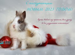 С наступающим новым годом!
